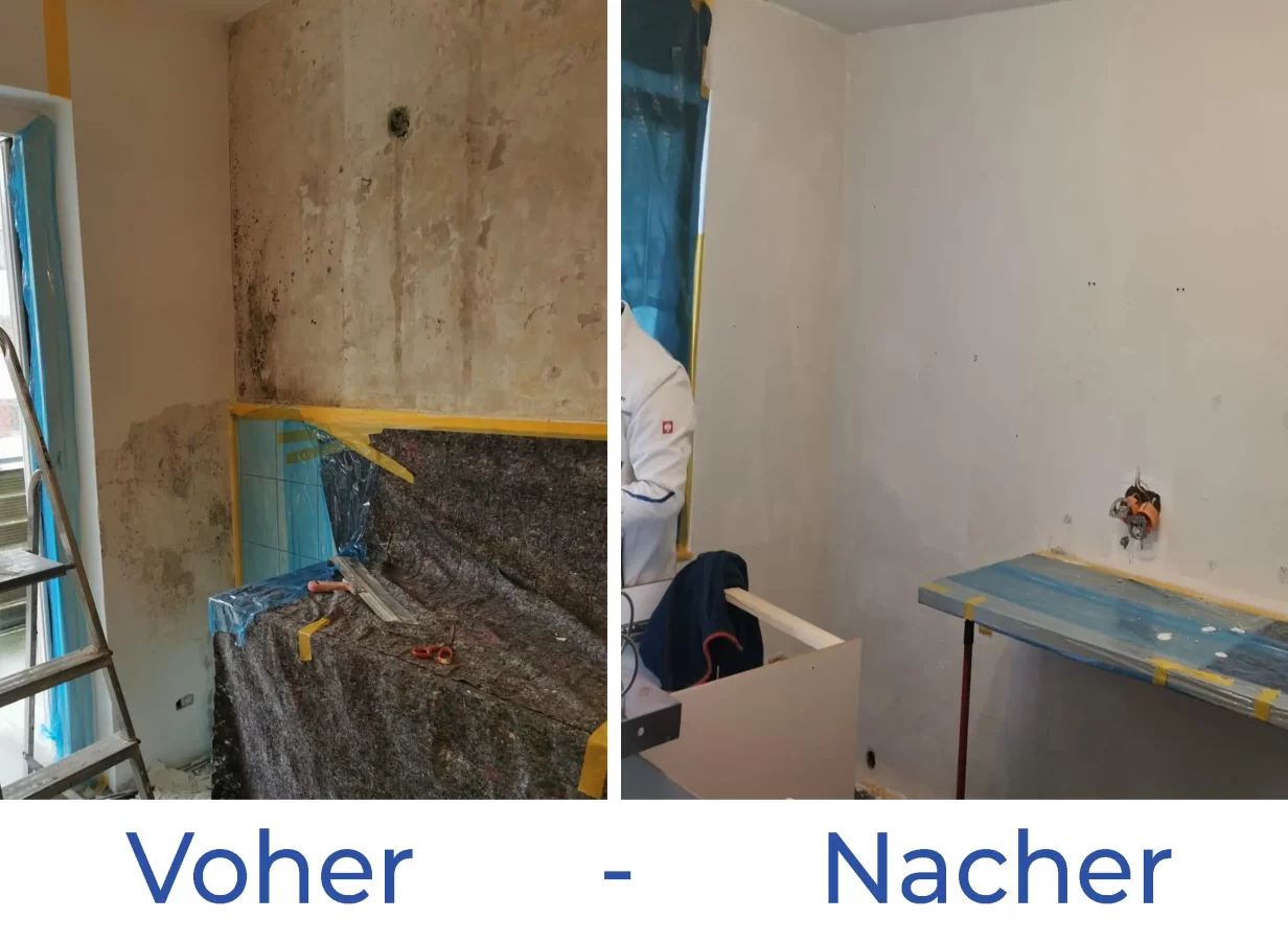 Schimmel an der Wand voher nacher