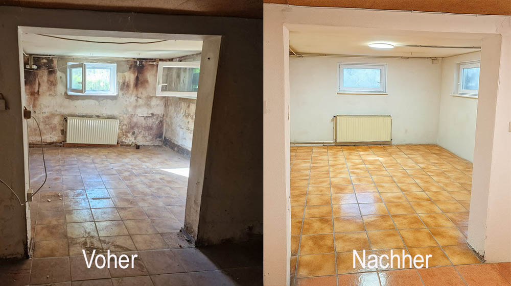 kosten schimmelsanierung